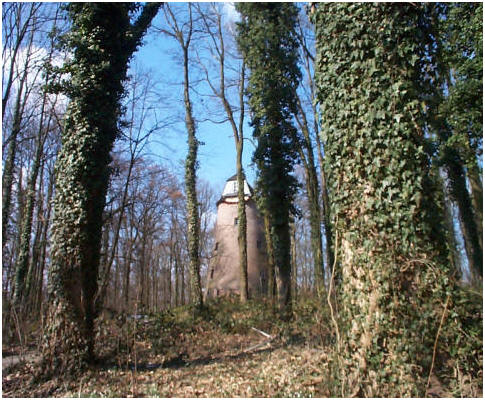 Wingertsmühle